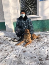 В Акмолинской области служебная собака помогла найти грабителя сена