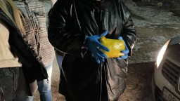 В Кокшетау за хранение наркотиков в крупном размере задержана столичная жительница