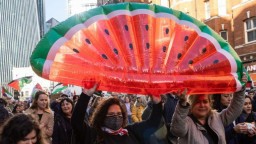 Почему арбуз стал символом солидарности с палестинцами? Все дело в цветах