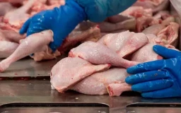 Акмолинская область выходит в лидеры по производству мяса птицы