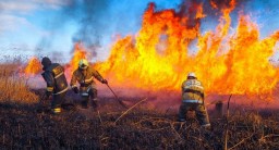 Спасатели просят соблюдать меры пожарной безопасности (ВИДЕО)