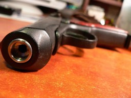 Житель Кокшетау незаконно переделал газовый пистолет в боевой и попался полицейским