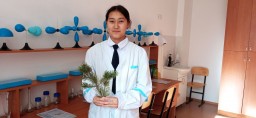 Акмолинская школьница использует хвою сосны Борового как источник аскорбиновой кислоты