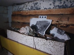 Стрельба с боевым оружием проводилась в подвале одной из школ Акмолинской области