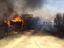 16 дачных участков пострадали от возгорания сухой травы в Акмолинской области