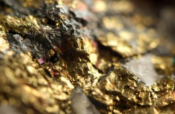 ​16 килограммов золотосодержащей руды изъяли у незаконного старателя в Акмолинской области
