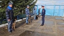 ​Наркорозыскные собаки департамента полиции Акмолинской области прошли тестирование на пригодность