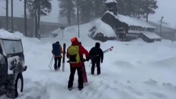 Девять лыжников погибли при сходе лавины в районе озера Тахо в Калифорнии Девять лыжников погибли при сходе лавины в районе озера Тахо в Калифорнии