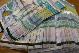 В Акмолинской области кредиты на близких обманным путем оформляли родственники