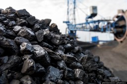 Аким Кокшетау призвал население заранее закупить уголь, пока нет очереди